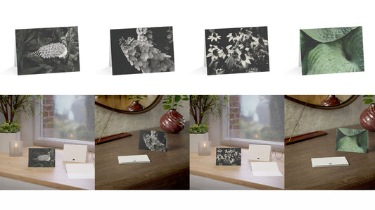 New Card Sets in the Shop!