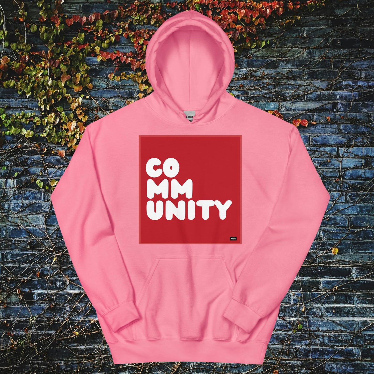 A Community in Crimson Unisex Hoodie - Available in Assorted Colors
