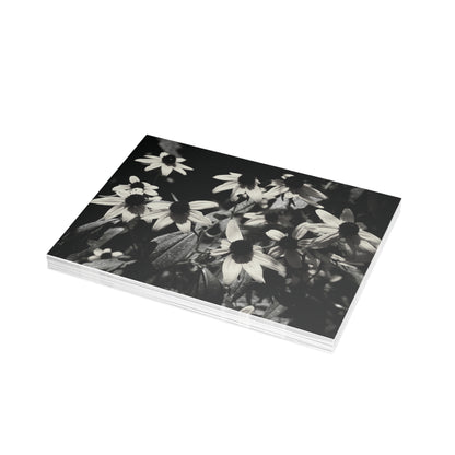 Coneflowers in Black and White Postcard Set - 2 Sizes Available, Quantities of 10, 30, 50