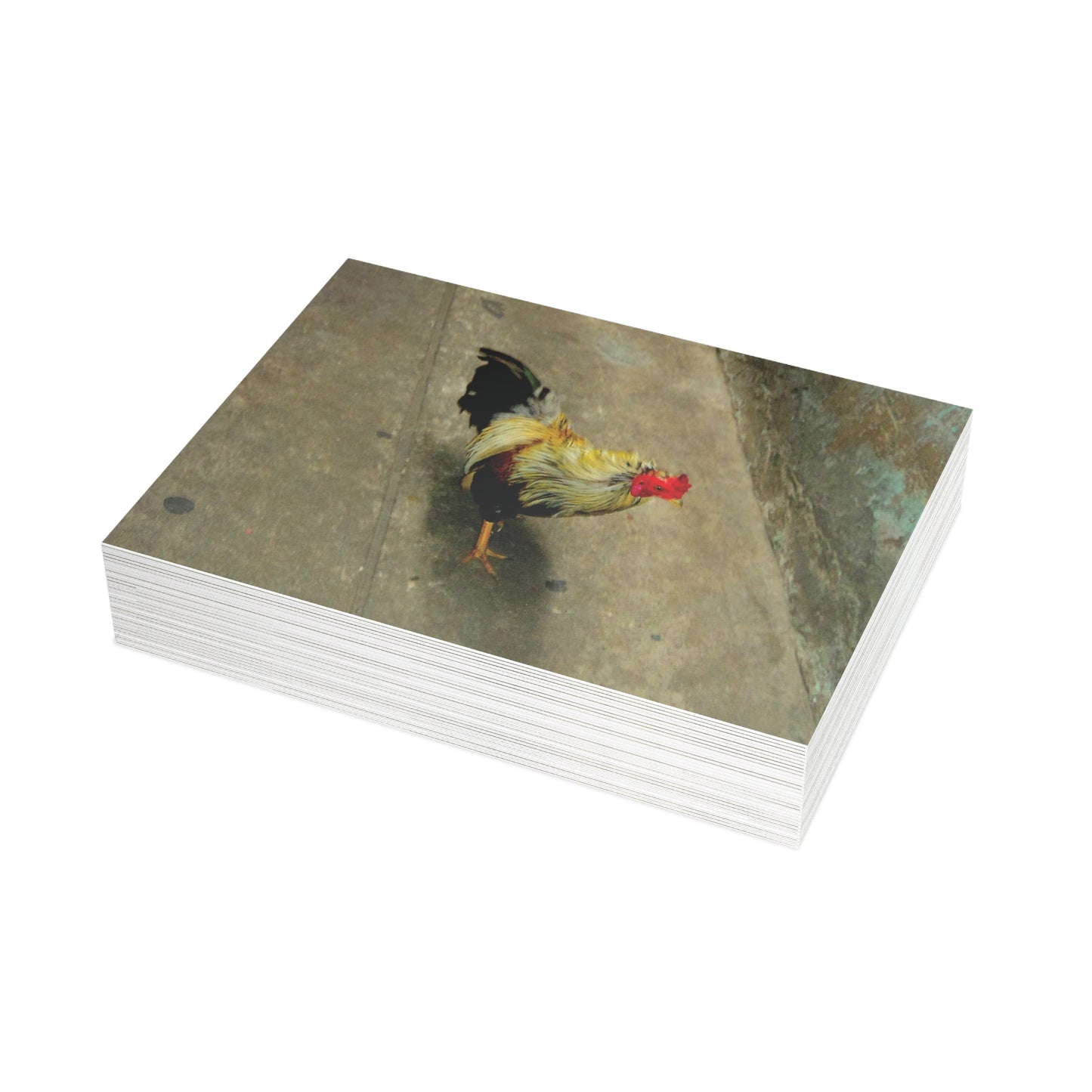 The Yellow Rooster Postcard Set - 2 Sizes Available, Quantities of 10, 30, 50