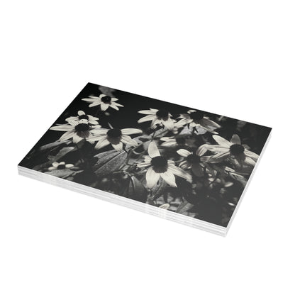 Coneflowers in Black and White Postcard Set - 2 Sizes Available, Quantities of 10, 30, 50