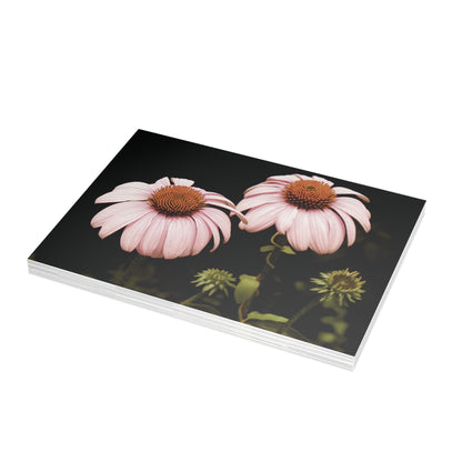 The Pink Coneflowers Postcard Set - 2 Sizes Available, Quantities of 10, 30, 50