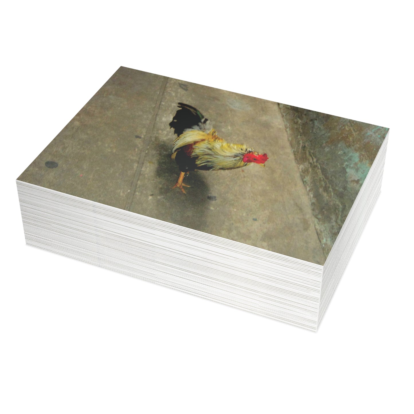 The Yellow Rooster Postcard Set - 2 Sizes Available, Quantities of 10, 30, 50