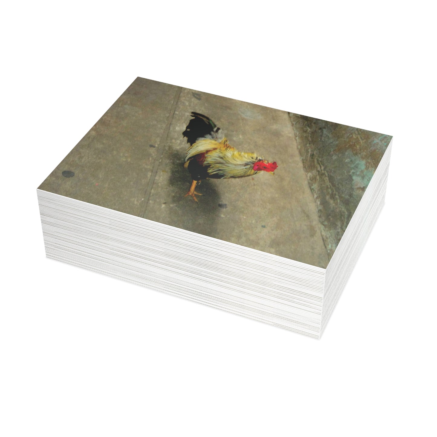 The Yellow Rooster Postcard Set - 2 Sizes Available, Quantities of 10, 30, 50