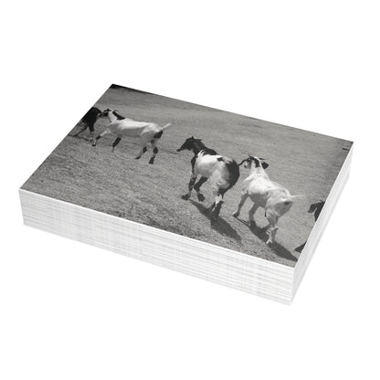 The Goats Postcard Set - 2 Sizes Available, Quantities of 10, 30, 50