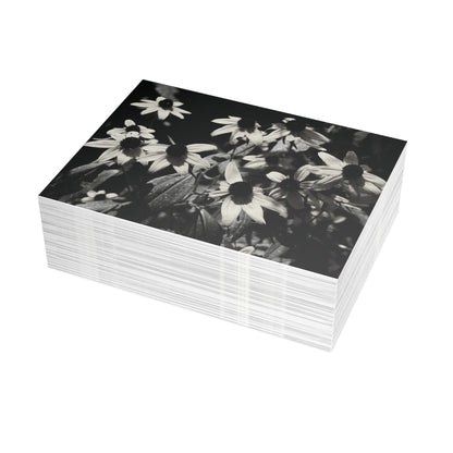 Coneflowers in Black and White Postcard Set - 2 Sizes Available, Quantities of 10, 30, 50