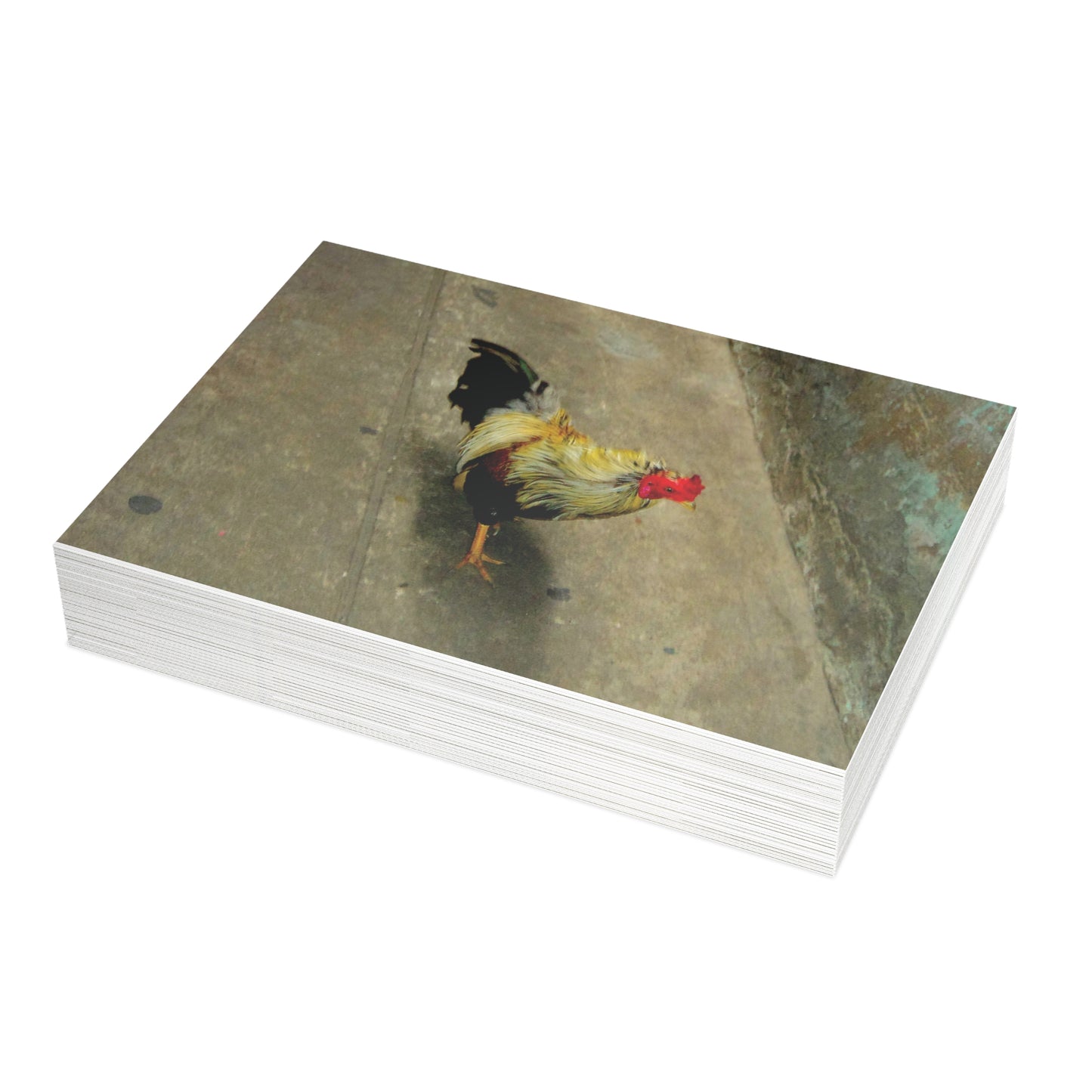 The Yellow Rooster Postcard Set - 2 Sizes Available, Quantities of 10, 30, 50