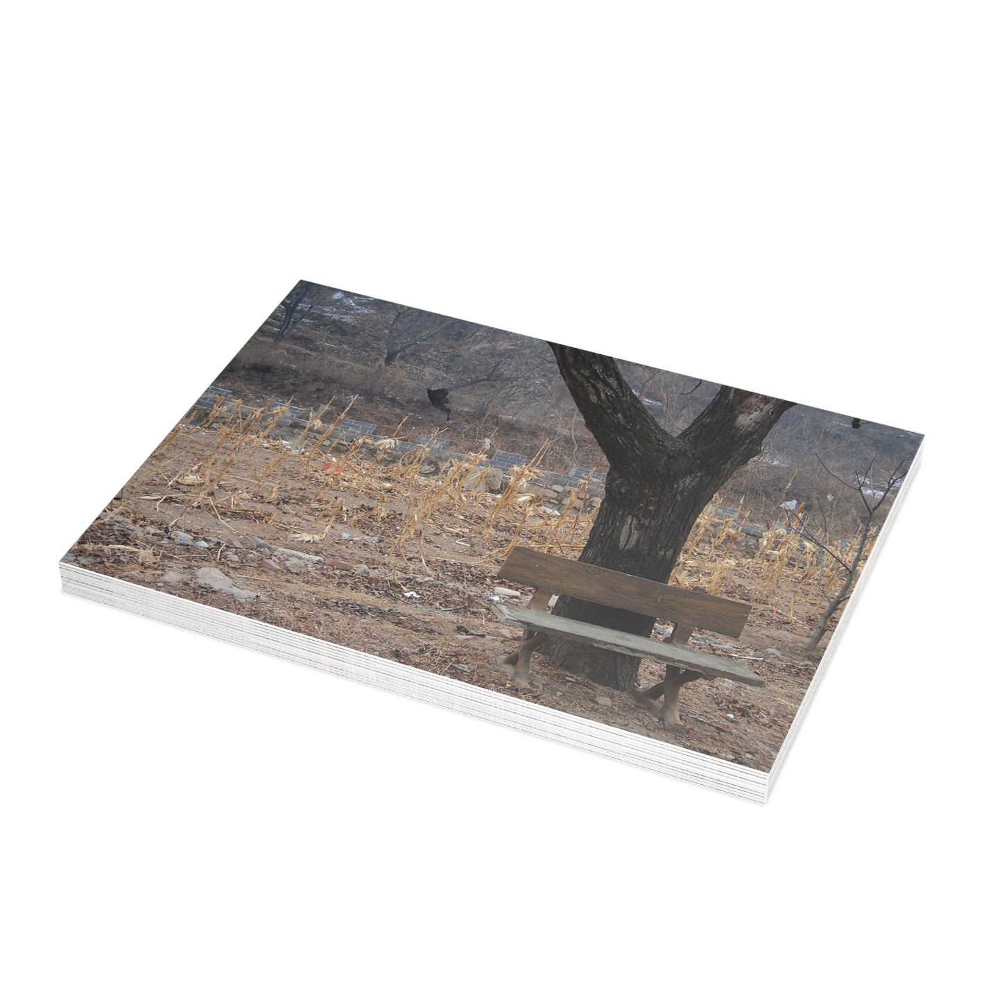 A Winter's Afternoon Postcard Set - 2 Sizes Available, Quantities of 10, 30, 50