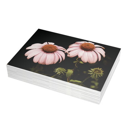 The Pink Coneflowers Postcard Set - 2 Sizes Available, Quantities of 10, 30, 50