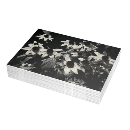 Coneflowers in Black and White Postcard Set - 2 Sizes Available, Quantities of 10, 30, 50