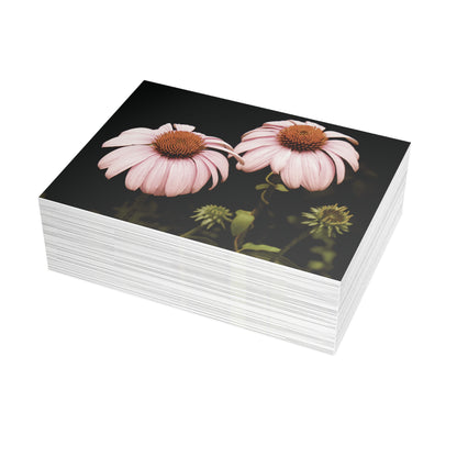 The Pink Coneflowers Postcard Set - 2 Sizes Available, Quantities of 10, 30, 50