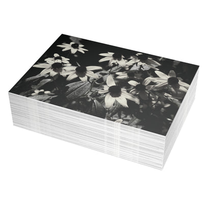 Coneflowers in Black and White Postcard Set - 2 Sizes Available, Quantities of 10, 30, 50