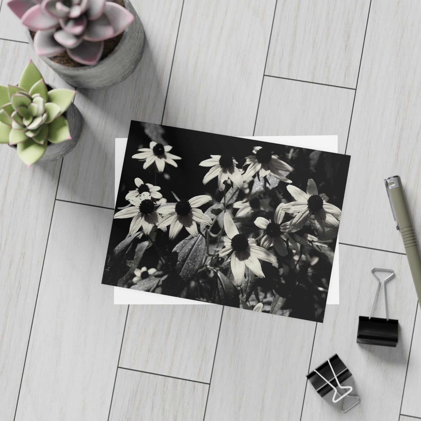 Coneflowers in Black and White Postcard Set - 2 Sizes Available, Quantities of 10, 30, 50