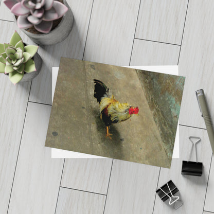 The Yellow Rooster Postcard Set - 2 Sizes Available, Quantities of 10, 30, 50