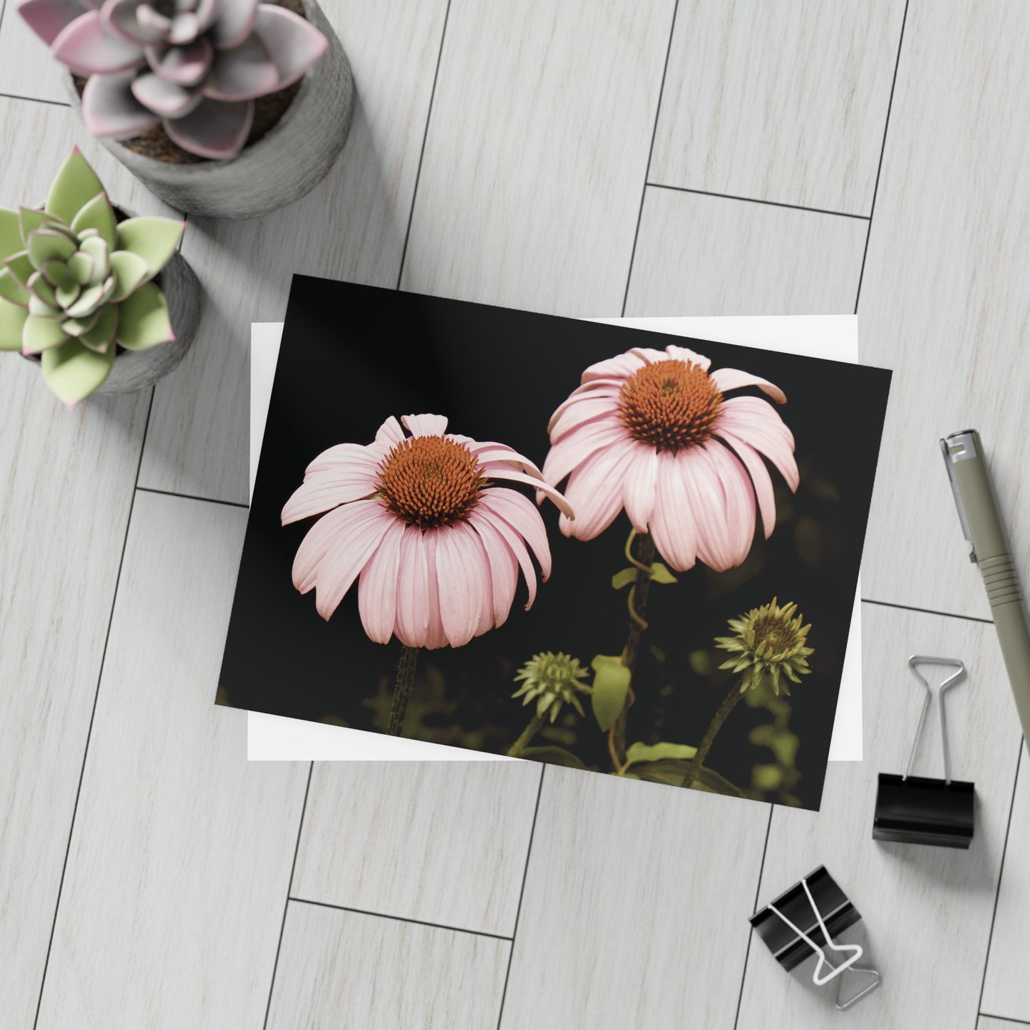 The Pink Coneflowers Postcard Set - 2 Sizes Available, Quantities of 10, 30, 50