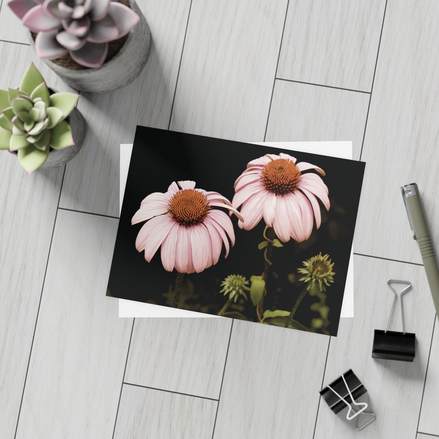 The Pink Coneflowers Postcard Set - 2 Sizes Available, Quantities of 10, 30, 50