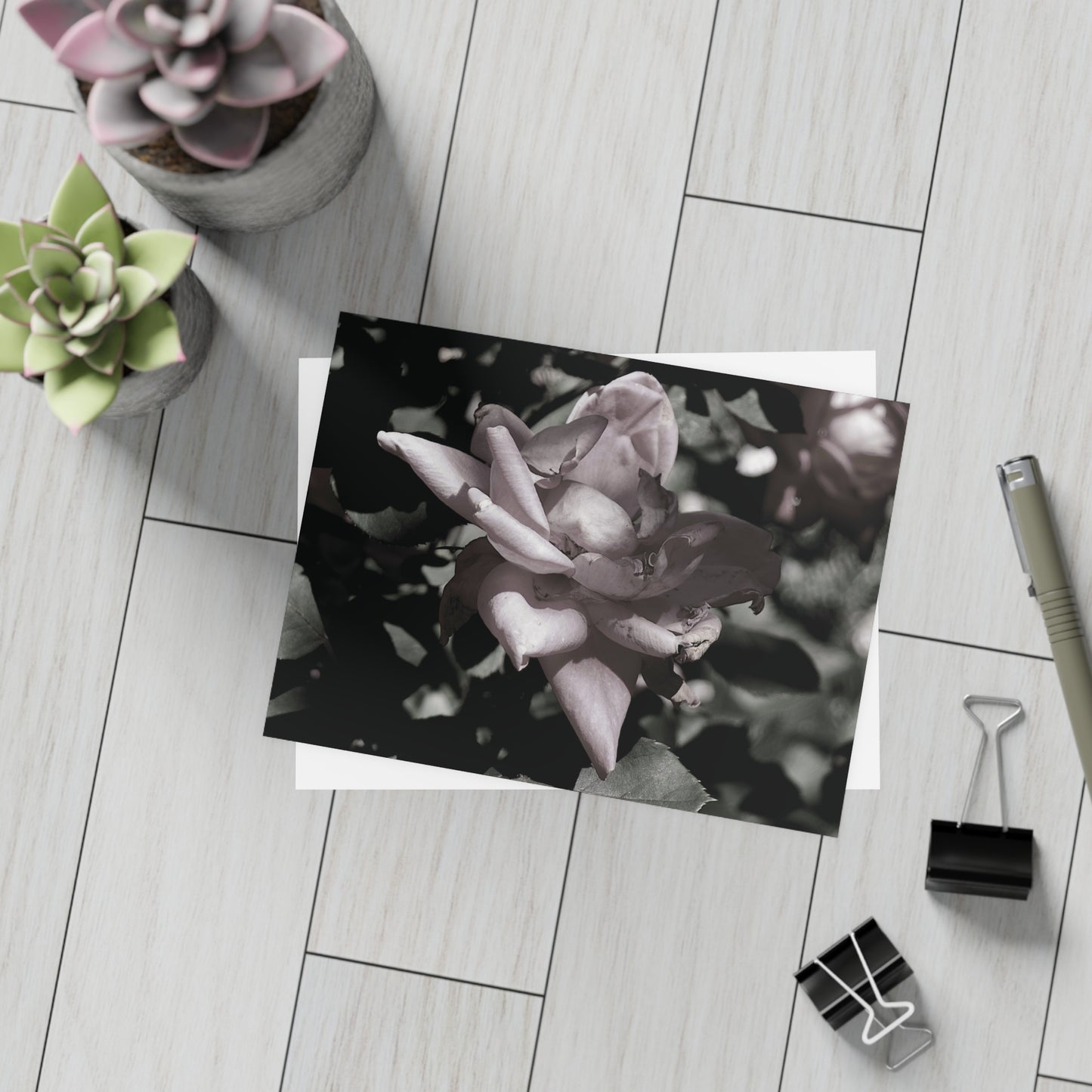 The Pink Rose Postcard Set - 2 Sizes Available, Quantities of 10, 30, 50