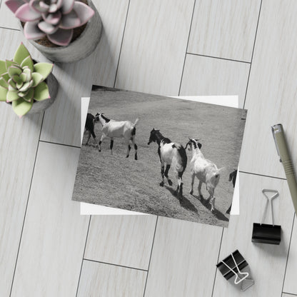 The Goats Postcard Set - 2 Sizes Available, Quantities of 10, 30, 50