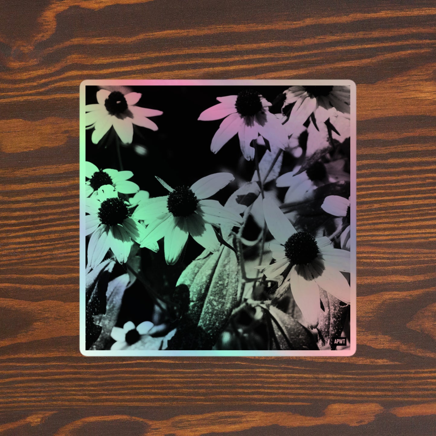 Coneflowers in Black and White Holographic Vinyl Sticker