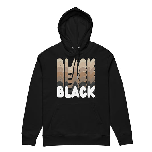 Shades in Black Premium Unisex Hoodie - The APWT Gift Shop