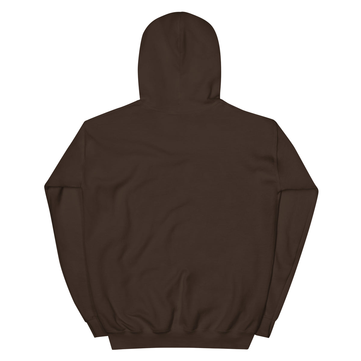 The APWT Gift shop's Please Vote Unisex Hoodie in Brown from the back from the APWT Vote Shop 